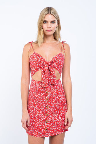 Amber Mini Dress