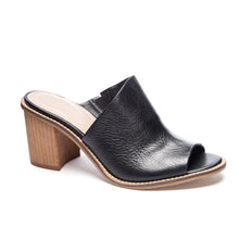 Carlin Mule