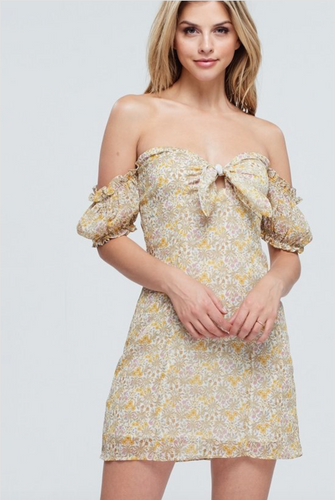 Calan Mini Dress