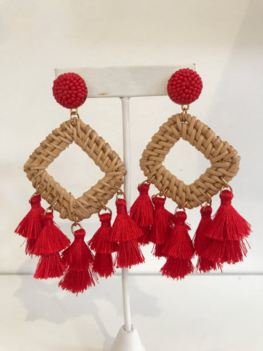 Red Fringe Tassel Earring